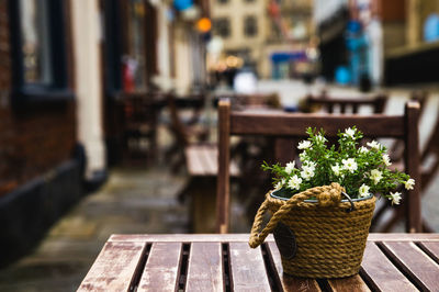 Potted plant on table at sidewalk cafe