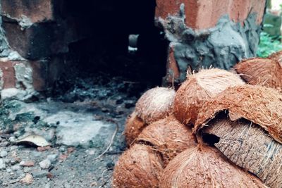 Close-up of abandoned building