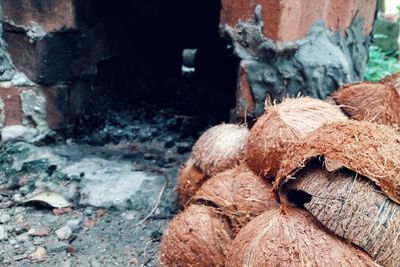 Close-up stack of coconut shells