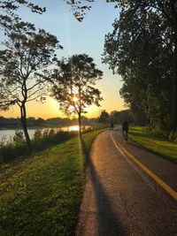 Road amidst trees against sky during sunset