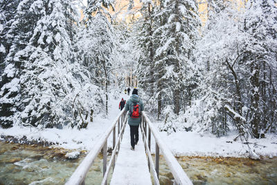 Rear view of man on snow covered mountain