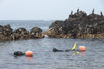 Haenyeo swimming in sea against clear sky at jeju island