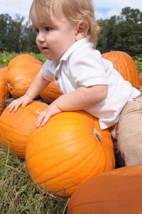 Toddler with fresh organic pumpkins on field