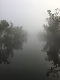 Reflection of trees in lake against sky