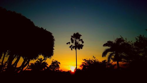 Silhouette trees against clear sky at sunset