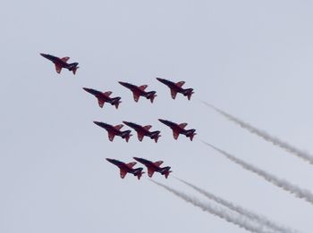 Low angle view of birds flying in sky