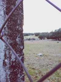 Fence on field