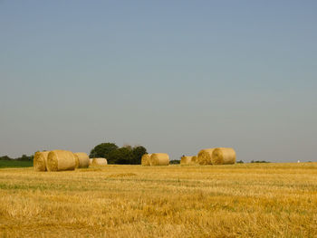 Hay bales on field against clear sky