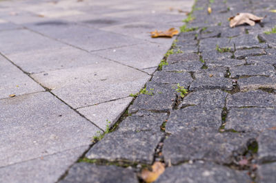 Surface level of cobblestone street