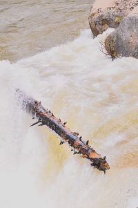 High angle view of water