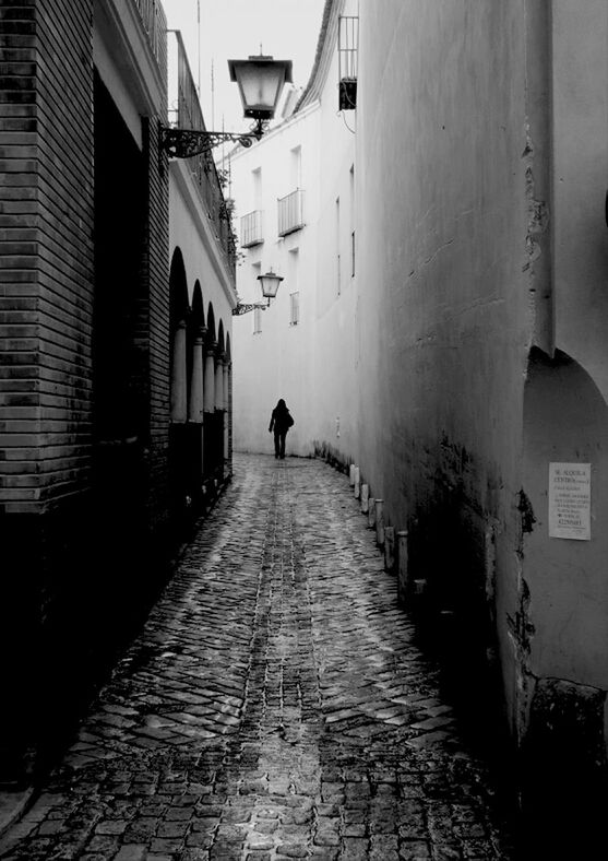 architecture, building exterior, built structure, the way forward, walking, full length, rear view, men, street, lifestyles, cobblestone, building, diminishing perspective, alley, city, residential structure, residential building, person