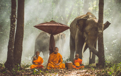 Monks meditating in forest sitting against elephants