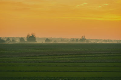 Scenic view of agricultural field against sky during sunset