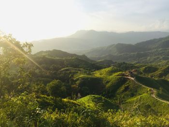 Scenic view of landscape and mountains against sky