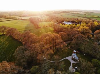 High angle view of trees on landscape