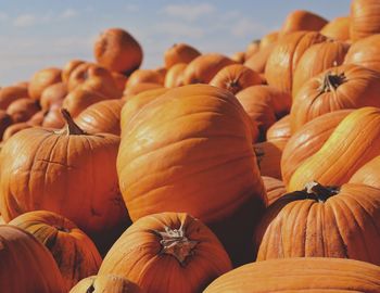 Close-up of pumpkins for sale at market stall