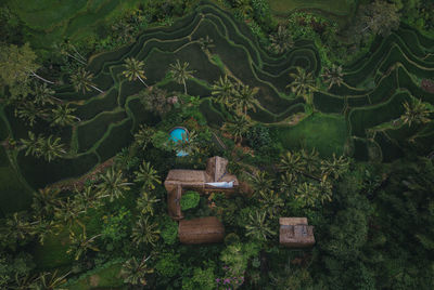 High angle view of cross amidst trees in forest