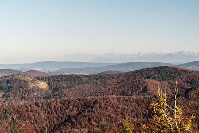 Scenic view of landscape against clear sky