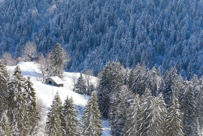 Scenic view of snow covered landscape