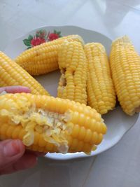 High angle view of hand holding vegetables