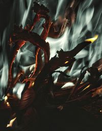 Close-up view of fire