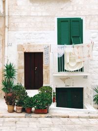 Potted plants on window of building