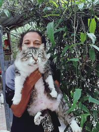 Portrait of cat on plant