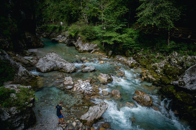 Stream flowing through forest