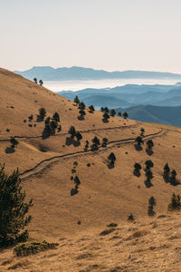 natural environment