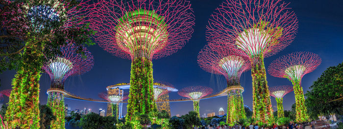 Low angle view of illuminated trees against sky at night