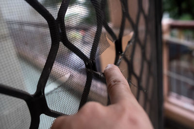 Close-up of hand holding metal fence