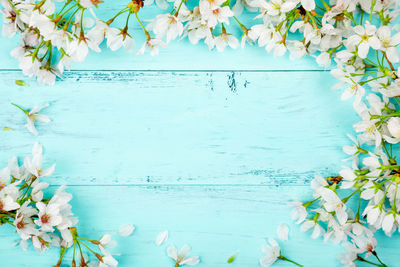 White flowering plants against blue water