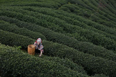 View of working in agricultural field