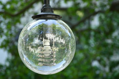 Low angle view of light bulbs hanging from glass