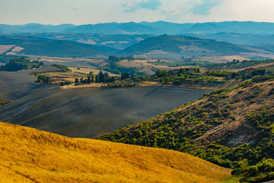 Scenic view of agricultural field against sky