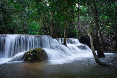 Scenic view of waterfall in forest