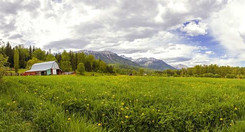 Scenic view of field against cloudy sky