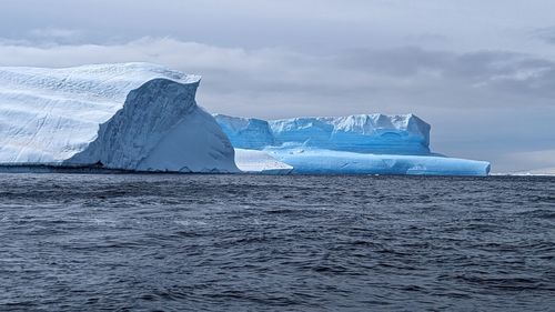 Blue icebergs float in antarctica. 