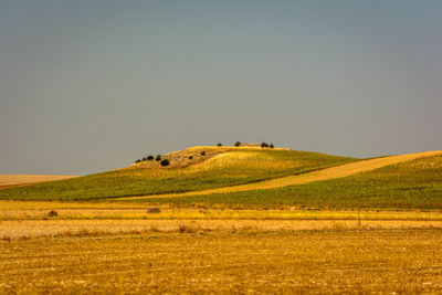 Scenic view of land against clear sky