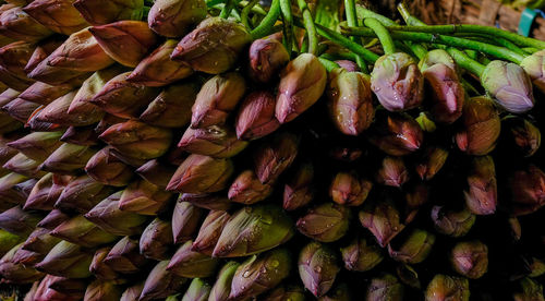 Full frame shot of vegetables for sale at market stall