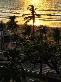 Palm trees by swimming pool against sky at sunset