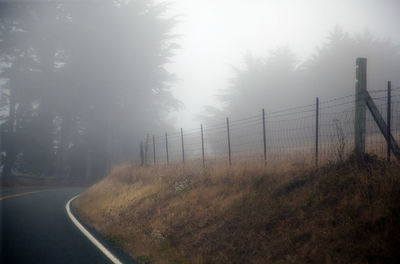 Road passing through field