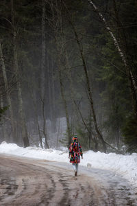 Rear view of people skiing on snow covered landscape