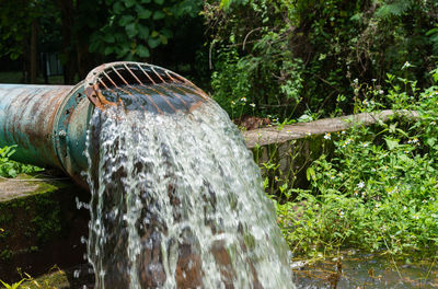 Water splashing against plants and trees