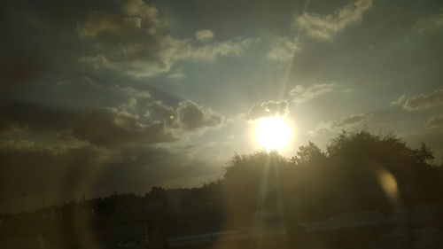 Trees against sky during sunset