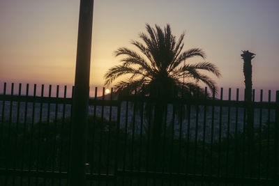 Silhouette palm trees by sea against sky during sunset