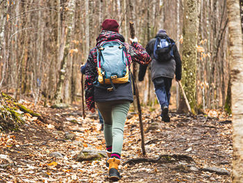 Rear view of people walking on footpath in forest