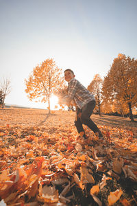 Sunlight falling on autumn leaves on land against sky