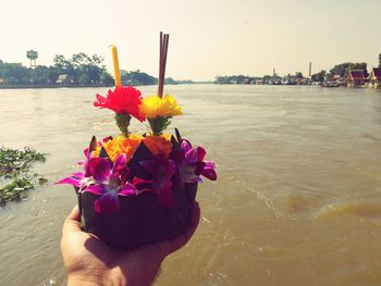 Close-up of hand holding flowers at beach