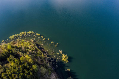 High angle view of plants by sea against sky